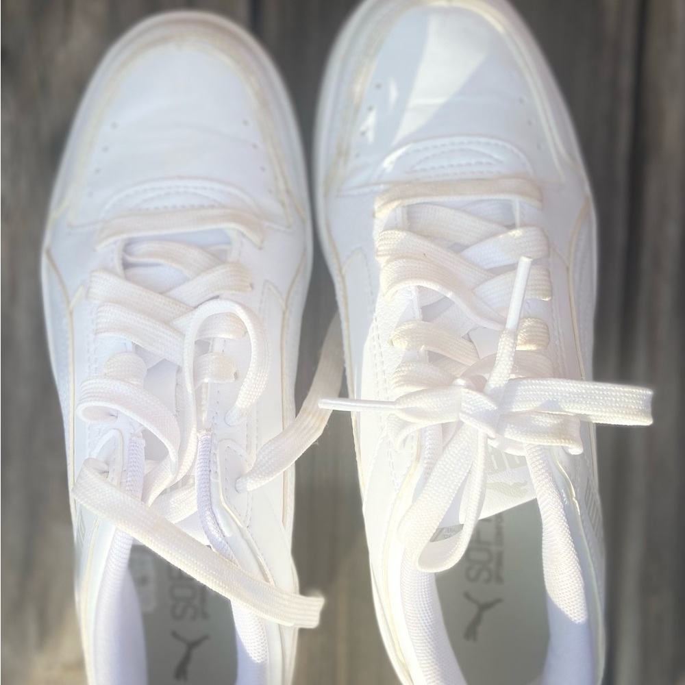 Puma